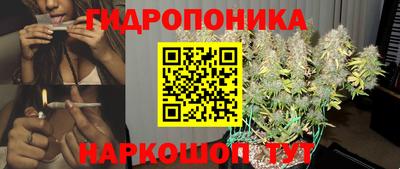 гидра Можга