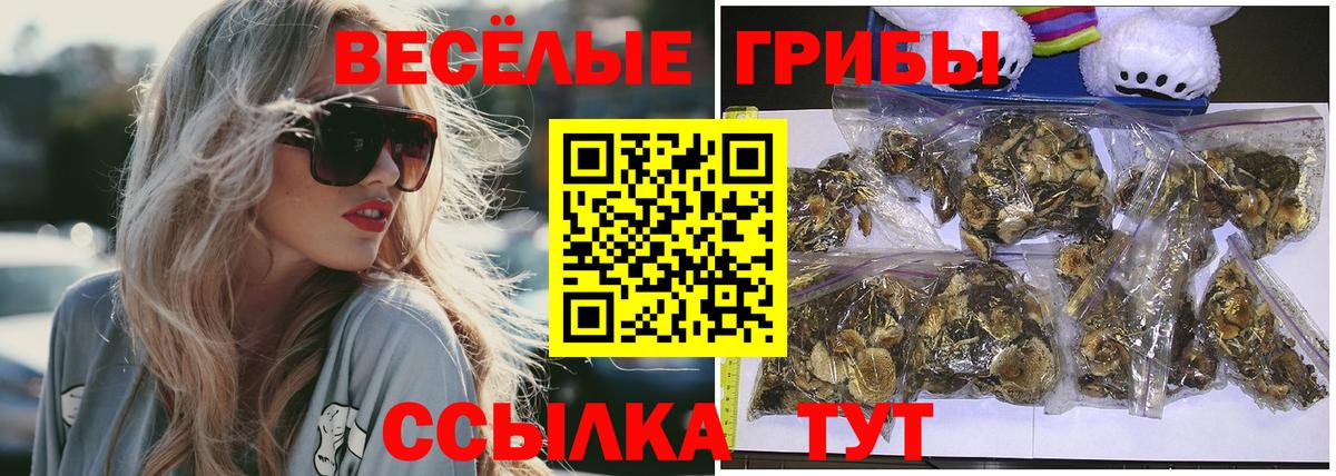 Псилоцибиновые грибы мухоморы Рязань